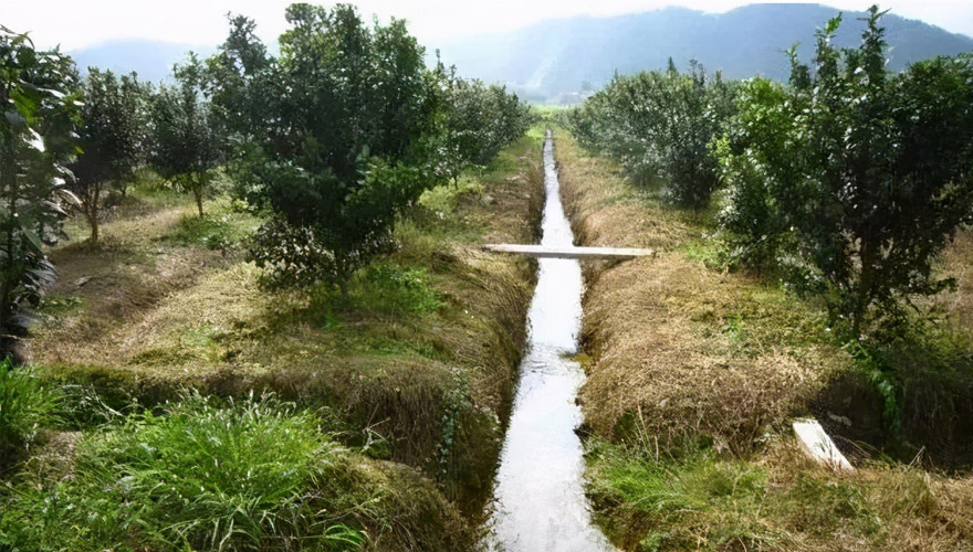智慧农业为春耕按下农忙“加速键” 希望的田野插上“科技翅膀”