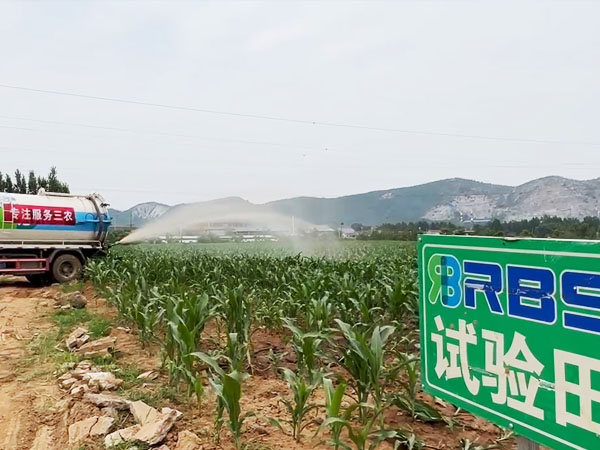 华北黄淮墒情部分改善 旱地干旱持续