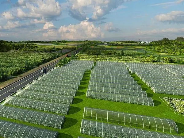 调控环境+防雨防灾助越夏蔬菜安全生长