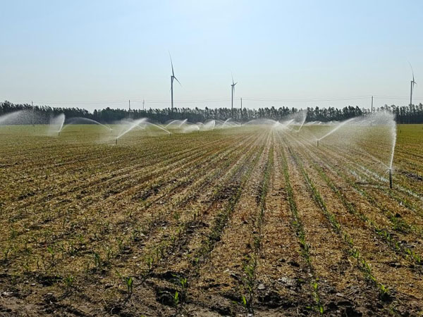 华北黄淮局地干旱持续 应继续抓好抗旱保苗