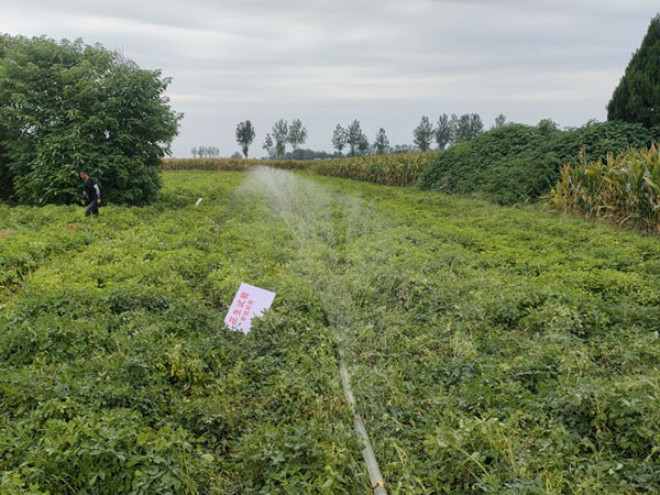 怎样防治秋季地下害虫